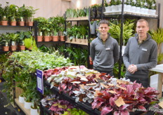 Kevin van Milt and Edwin Plaisier with Vireo. Especially the Beleaf series of Berghoef Plants attracted a lot of attention